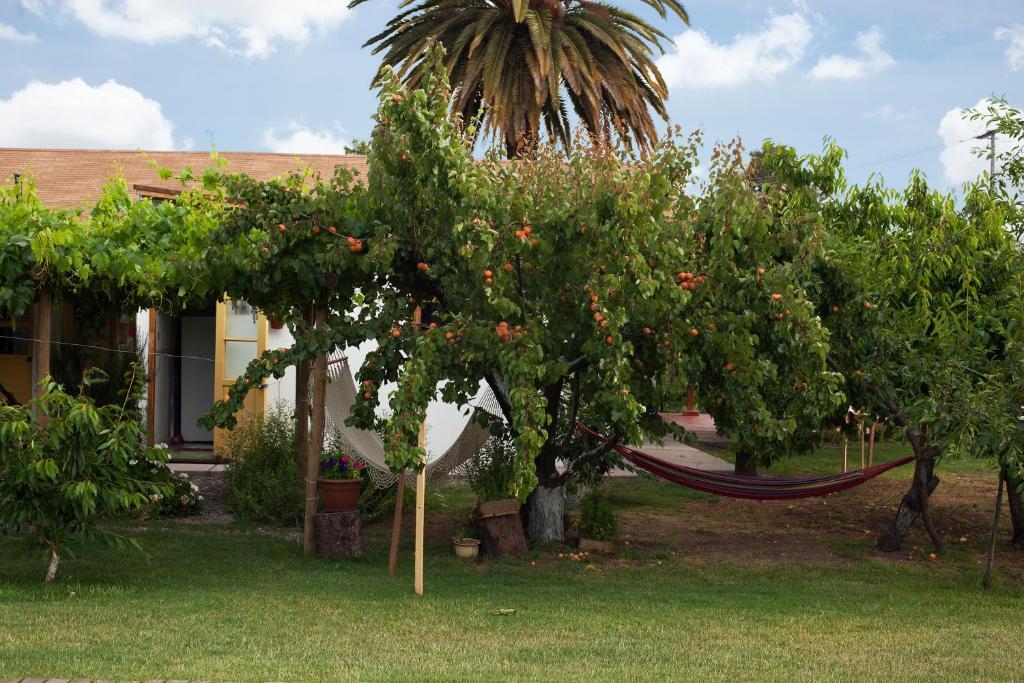 Casa Pando Bed and Breakfast Santa Cruz Esterno foto